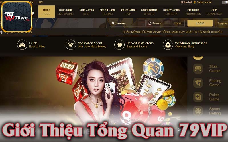 Giới thiệu tổng quan